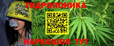 PSILOCYBIN Кулебаки