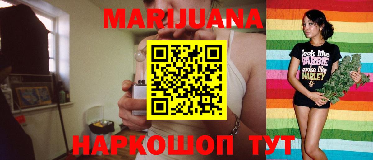 Конопля сатива Зеленокумск